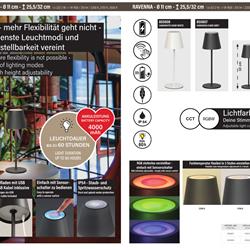 灯饰设计 Fischer & Honsel 2026年德国便携式灯具产品图片电子书