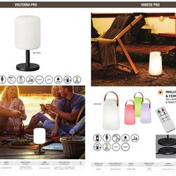 灯饰设计 Fischer & Honsel 2026年德国便携式灯具产品图片电子书