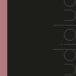 Studioluce 2026年巴西现代时尚灯饰设计图片电子书