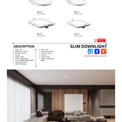 灯饰设计 Sims 2026年新加坡现代灯饰产品图片电子目录