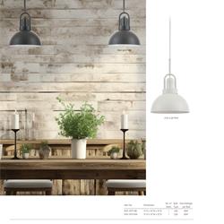 灯饰设计 Dainolite 2026年欧式现代LED灯饰设计产品图片电子书