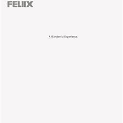 灯饰设计 Feliix 2026年现代时尚灯饰图片电子书