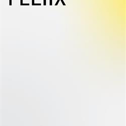 灯饰设计 Feliix 2026年现代时尚灯饰图片电子书