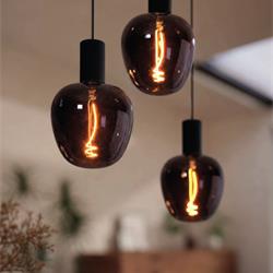 欧式灯饰设计 Eglo Lighting 2026年欧式灯泡灯源电子书