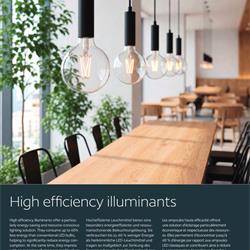 欧式灯饰设计 Eglo Lighting 2026年欧式灯泡灯源电子书