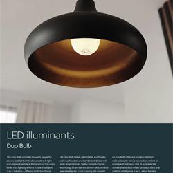 欧式灯饰设计 Eglo Lighting 2026年欧式灯泡灯源电子书