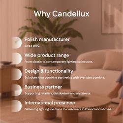 灯饰设计 Candellux 2026‑2027年波兰基础系列照明产品电子书