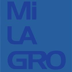 现代轻奢设计:MiLAGRO 2026 波兰综合灯饰图集电子书